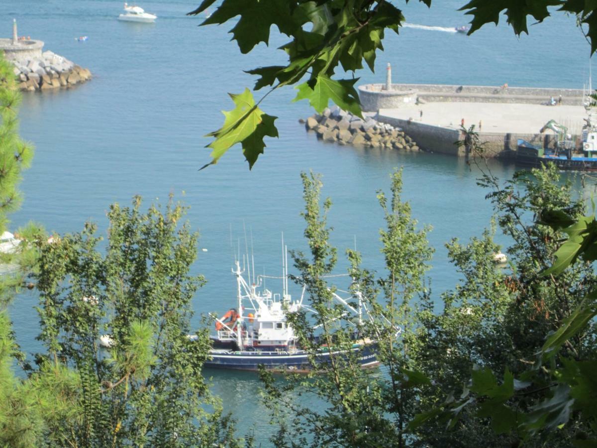 Entre Terre&Mer Ciboure Extérieur photo